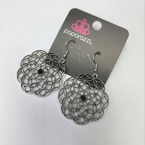 🆕 Paparazzi earrings